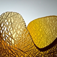 fleur d'ambre en detail - collection Dans la forêt
