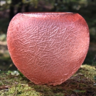 Lesní jahoda - kolekce v lese